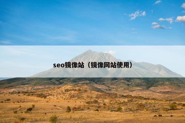 seo镜像站（镜像网站使用）