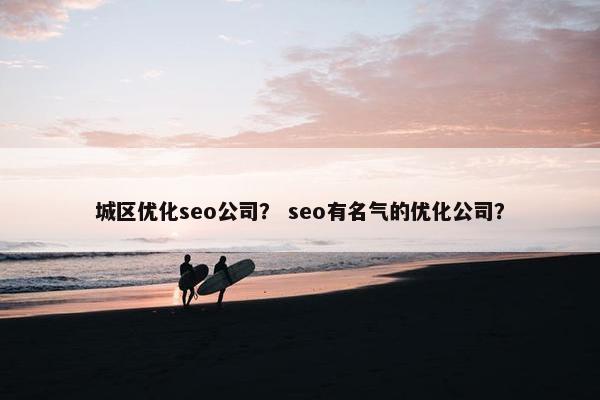 城区优化seo公司？ seo有名气的优化公司？