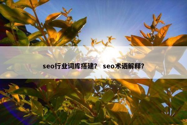 seo行业词库搭建？ seo术语解释？