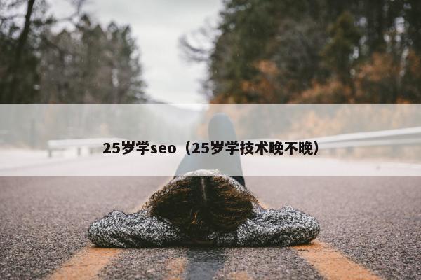 25岁学seo（25岁学技术晚不晚）