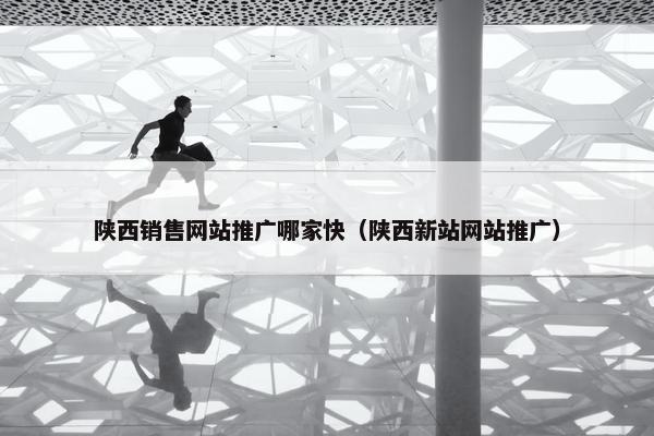 陕西销售网站推广哪家快（陕西新站网站推广）