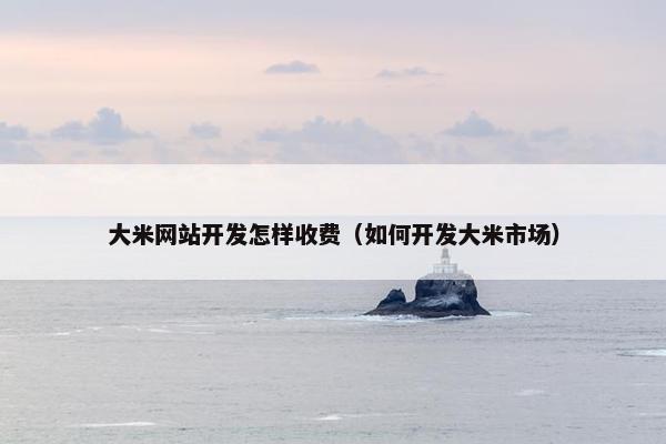 大米网站开发怎样收费（如何开发大米市场）