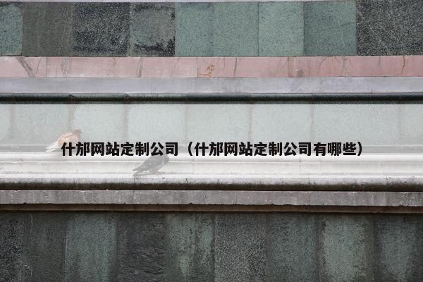什邡网站定制公司（什邡网站定制公司有哪些）