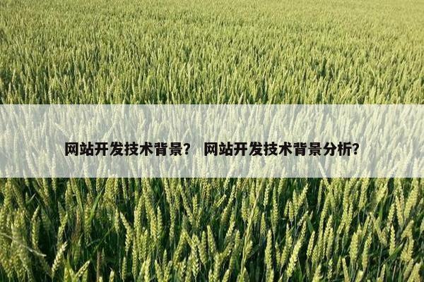 网站开发技术背景？ 网站开发技术背景分析？
