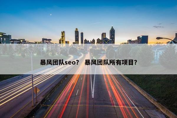 暴风团队seo？ 暴风团队所有项目？