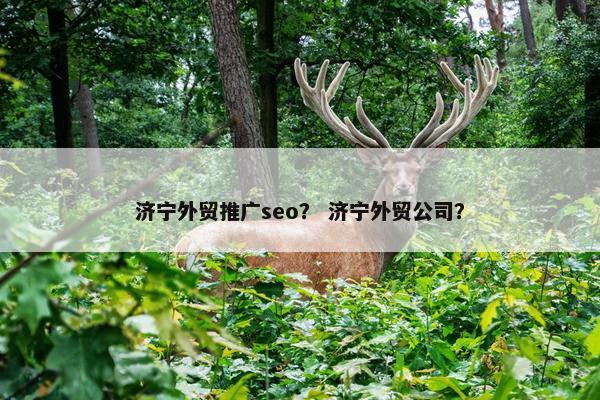 济宁外贸推广seo？ 济宁外贸公司？