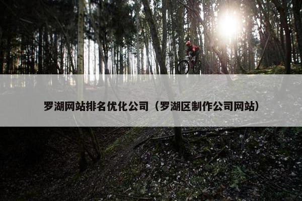 罗湖网站排名优化公司（罗湖区制作公司网站）