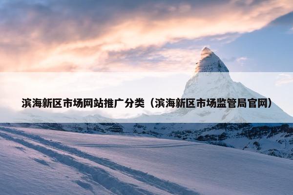 滨海新区市场网站推广分类（滨海新区市场监管局官网）