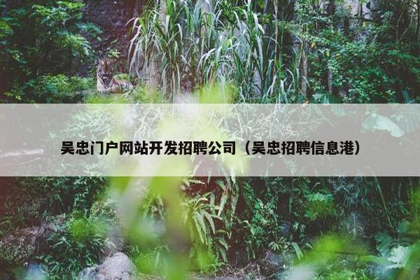 吴忠门户网站开发招聘公司（吴忠招聘信息港）