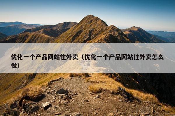 优化一个产品网站往外卖（优化一个产品网站往外卖怎么做）