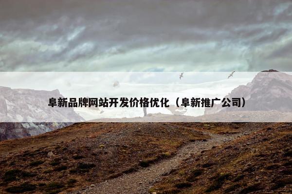 阜新品牌网站开发价格优化（阜新推广公司）