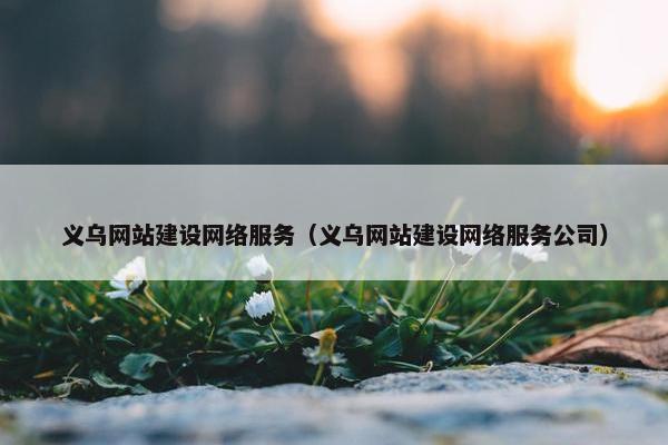 义乌网站建设网络服务（义乌网站建设网络服务公司）