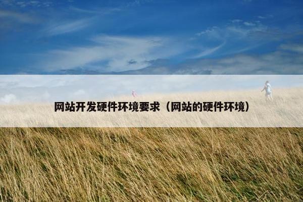 网站开发硬件环境要求（网站的硬件环境）