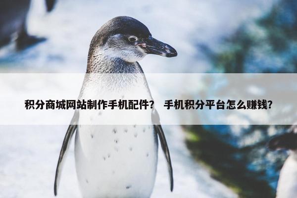 积分商城网站制作手机配件？ 手机积分平台怎么赚钱？