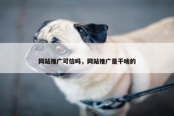 网站推广可信吗，网站推广是干啥的