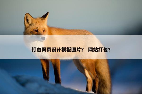 打包网页设计模板图片？ 网站打包？