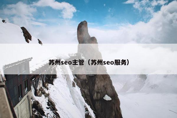 苏州seo主管（苏州seo服务）