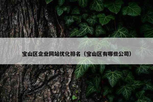 宝山区企业网站优化排名（宝山区有哪些公司）