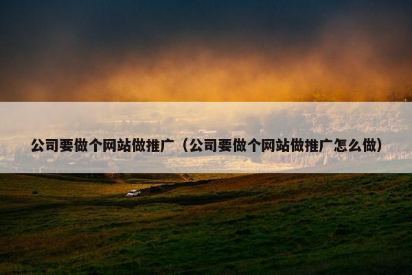 公司要做个网站做推广（公司要做个网站做推广怎么做）