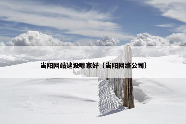 当阳网站建设哪家好（当阳网络公司）
