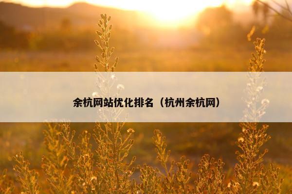 余杭网站优化排名（杭州余杭网）