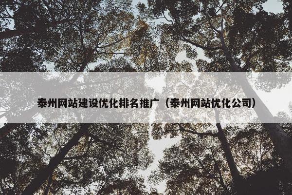 泰州网站建设优化排名推广（泰州网站优化公司）