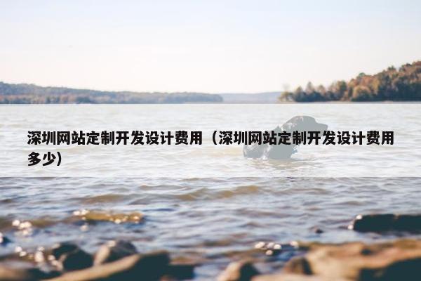 深圳网站定制开发设计费用（深圳网站定制开发设计费用多少）