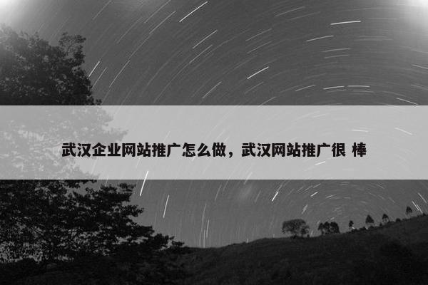 武汉企业网站推广怎么做，武汉网站推广很 棒