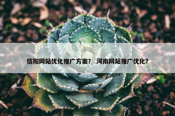 信阳网站优化推广方案？ 河南网站推广优化？