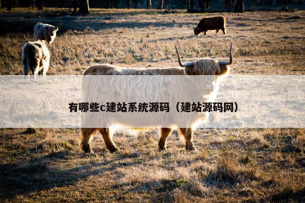 有哪些c建站系统源码（建站源码网）