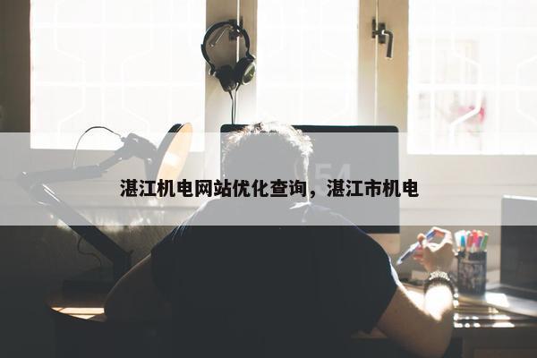 湛江机电网站优化查询，湛江市机电