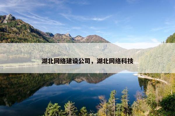 湖北网络建设公司，湖北网络科技