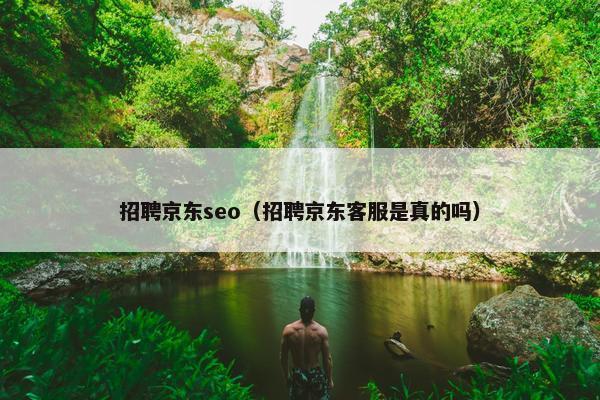招聘京东seo（招聘京东客服是真的吗）