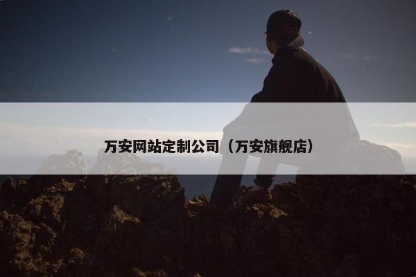 万安网站定制公司（万安旗舰店）