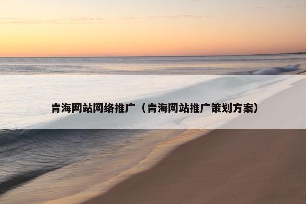青海网站网络推广（青海网站推广策划方案）
