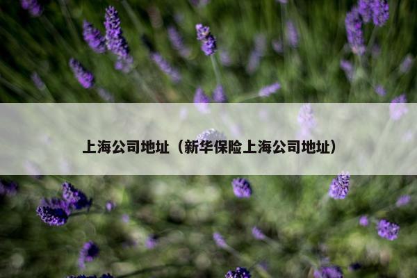 上海公司地址（新华保险上海公司地址）
