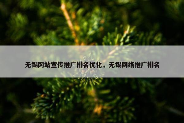 无锡网站宣传推广排名优化，无锡网络推广排名
