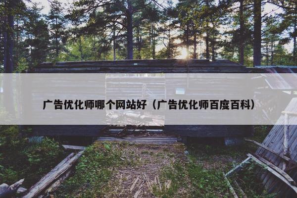 广告优化师哪个网站好（广告优化师百度百科）