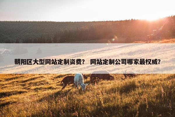 朝阳区大型网站定制资费？ 网站定制公司哪家最权威？