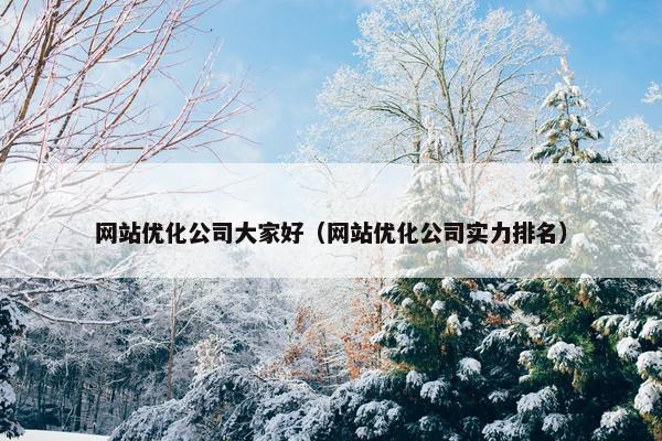网站优化公司大家好（网站优化公司实力排名）