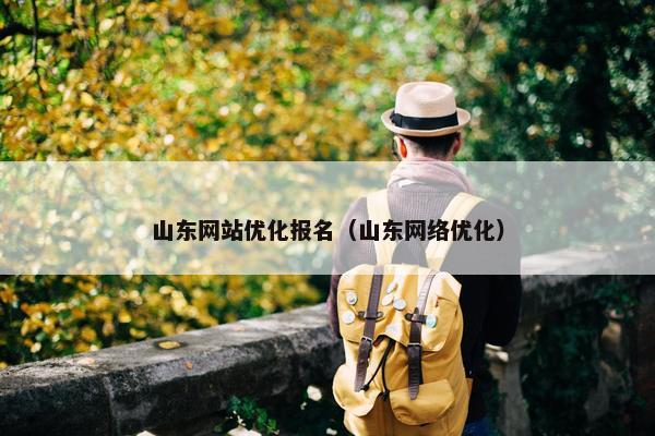 山东网站优化报名（山东网络优化）
