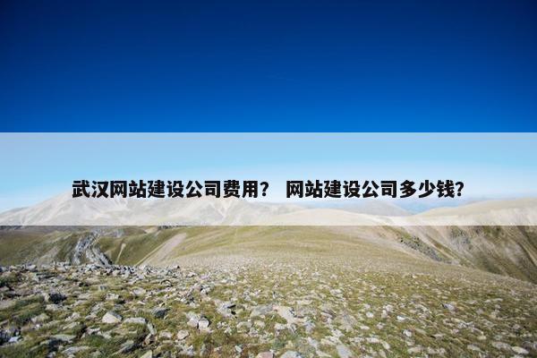 武汉网站建设公司费用？ 网站建设公司多少钱？