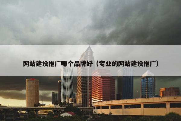 网站建设推广哪个品牌好（专业的网站建设推广）