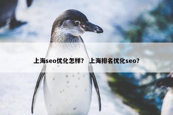 上海seo优化怎样？ 上海排名优化seo？