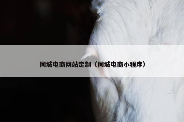 同城电商网站定制（同城电商小程序）