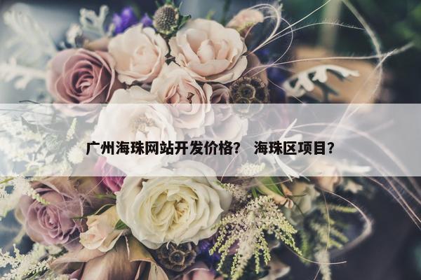 广州海珠网站开发价格？ 海珠区项目？