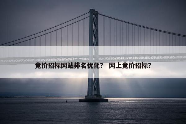 竞价招标网站排名优化？ 网上竞价招标？