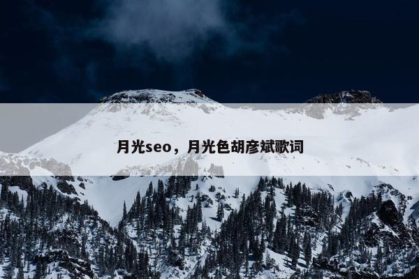 月光seo，月光色胡彦斌歌词