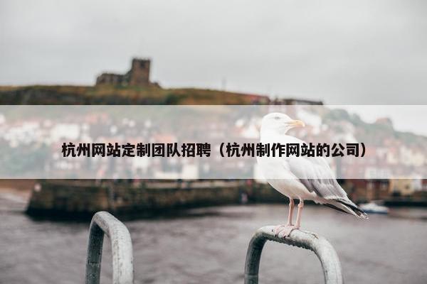 杭州网站定制团队招聘（杭州制作网站的公司）