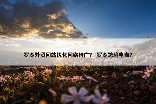 罗湖外贸网站优化网络推广？ 罗湖跨境电商？